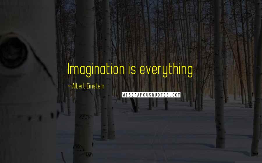 Albert Einstein Quotes: Imagination is everything