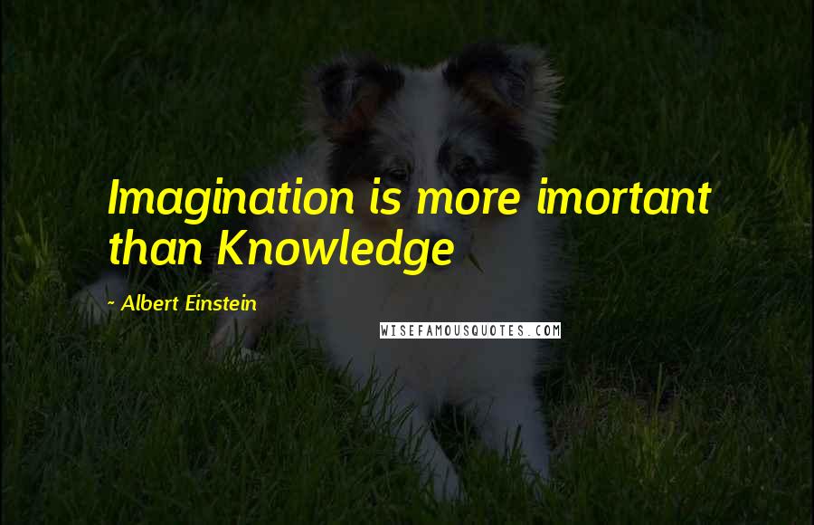 Albert Einstein Quotes: Imagination is more imortant than Knowledge