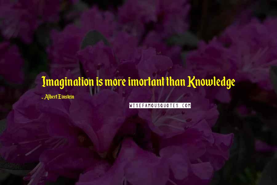 Albert Einstein Quotes: Imagination is more imortant than Knowledge