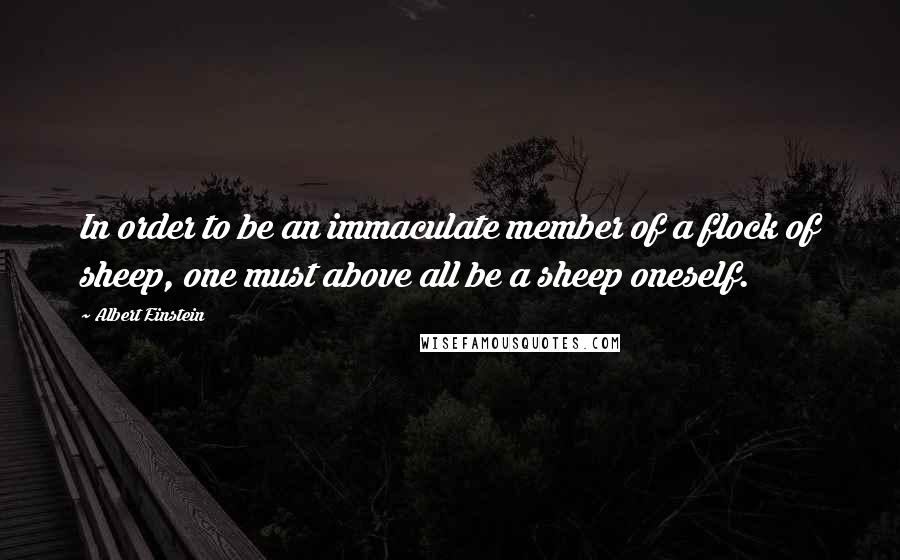Albert Einstein Quotes: In order to be an immaculate member of a flock of sheep, one must above all be a sheep oneself.