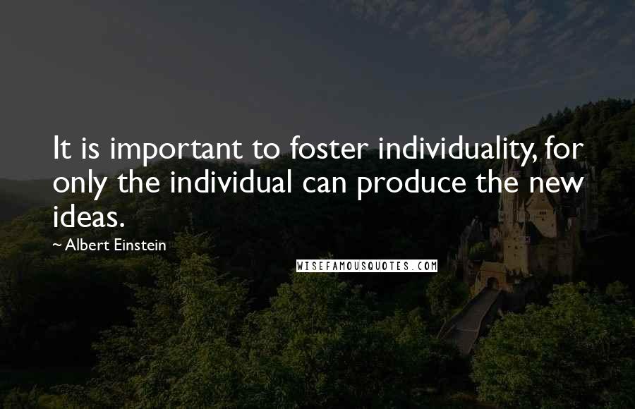 Albert Einstein Quotes: It is important to foster individuality, for only the individual can produce the new ideas.