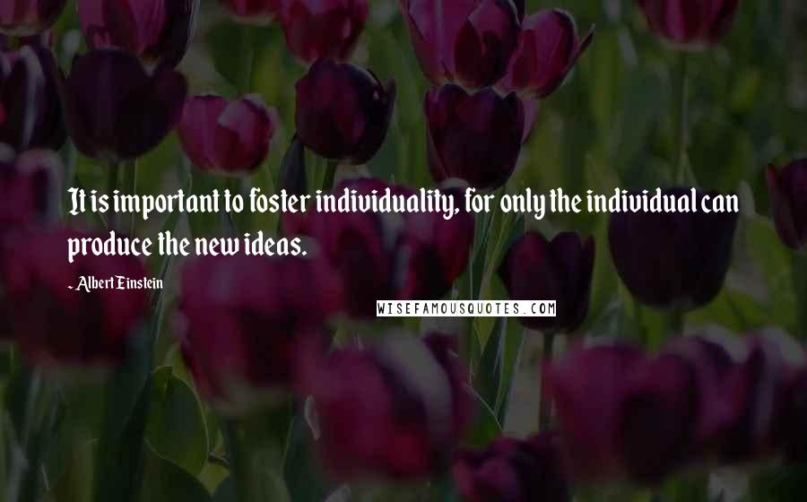 Albert Einstein Quotes: It is important to foster individuality, for only the individual can produce the new ideas.