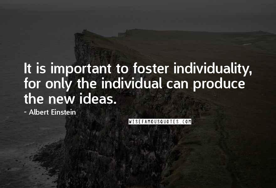 Albert Einstein Quotes: It is important to foster individuality, for only the individual can produce the new ideas.