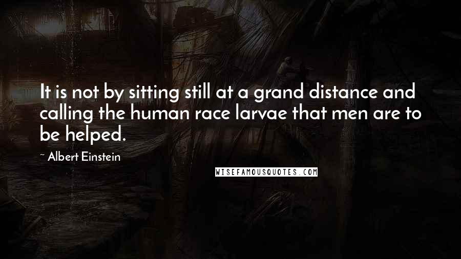 Albert Einstein Quotes: It is not by sitting still at a grand distance and calling the human race larvae that men are to be helped.