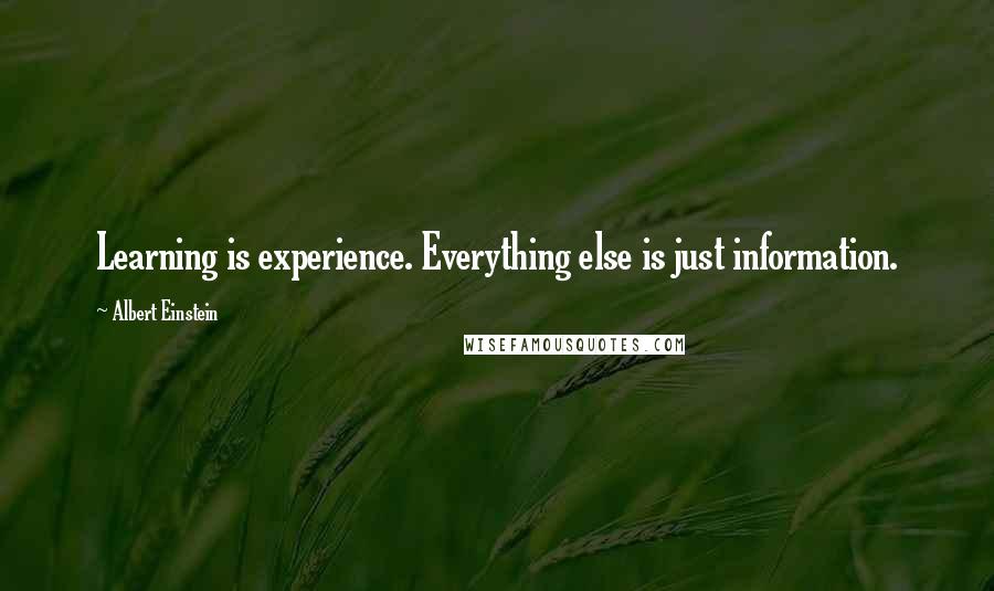 Albert Einstein Quotes: Learning is experience. Everything else is just information.