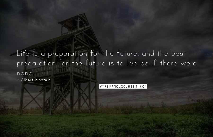 Albert Einstein Quotes: Life is a preparation for the future; and the best preparation for the future is to live as if there were none.