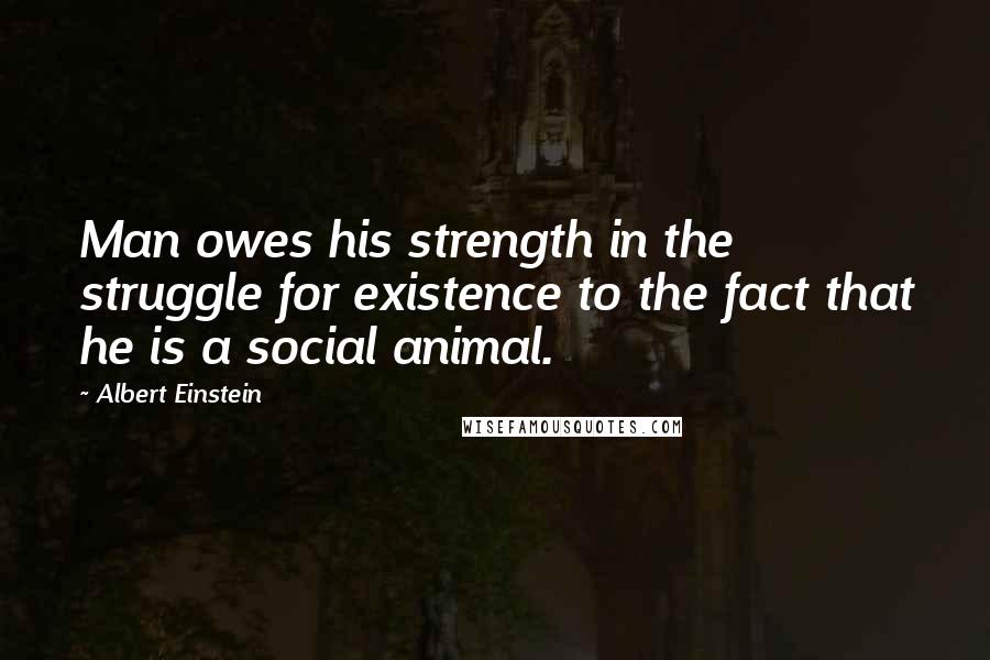 Albert Einstein Quotes: Man owes his strength in the struggle for existence to the fact that he is a social animal.