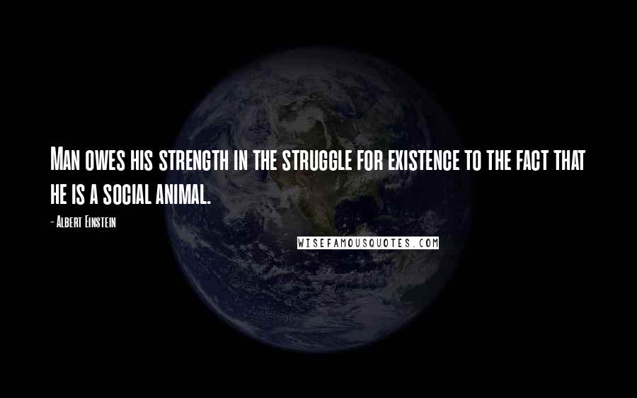 Albert Einstein Quotes: Man owes his strength in the struggle for existence to the fact that he is a social animal.