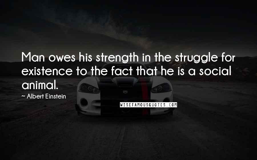 Albert Einstein Quotes: Man owes his strength in the struggle for existence to the fact that he is a social animal.