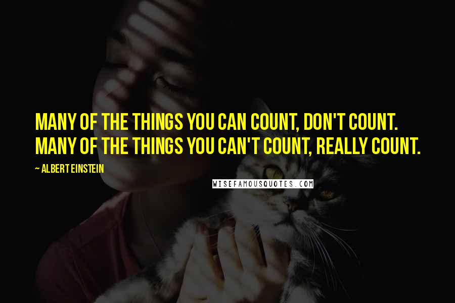 Albert Einstein Quotes: Many of the things you can count, don't count. Many of the things you can't count, really count.