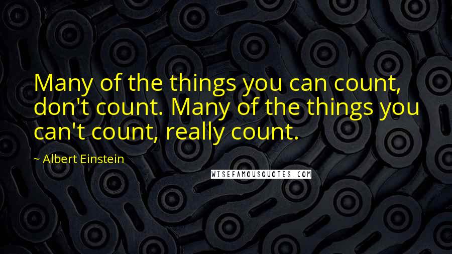 Albert Einstein Quotes: Many of the things you can count, don't count. Many of the things you can't count, really count.