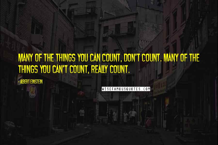 Albert Einstein Quotes: Many of the things you can count, don't count. Many of the things you can't count, really count.