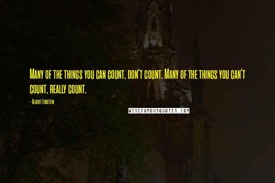 Albert Einstein Quotes: Many of the things you can count, don't count. Many of the things you can't count, really count.