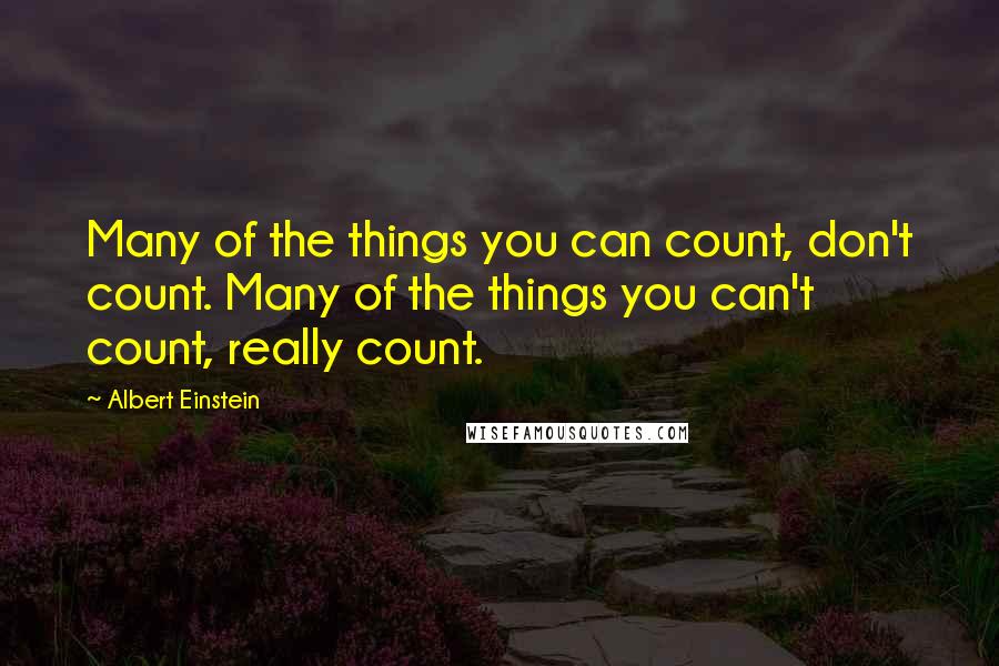 Albert Einstein Quotes: Many of the things you can count, don't count. Many of the things you can't count, really count.