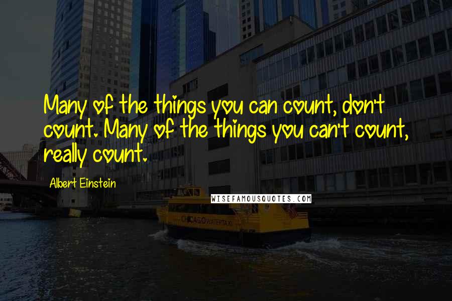 Albert Einstein Quotes: Many of the things you can count, don't count. Many of the things you can't count, really count.