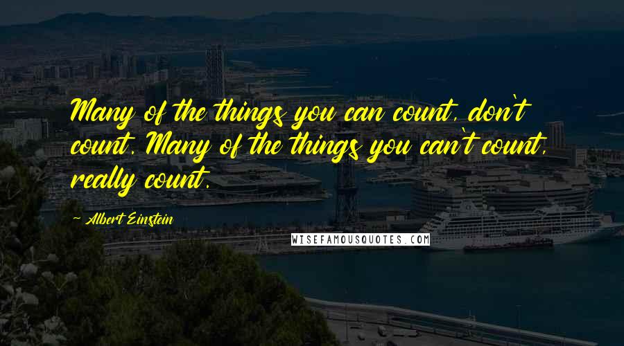 Albert Einstein Quotes: Many of the things you can count, don't count. Many of the things you can't count, really count.