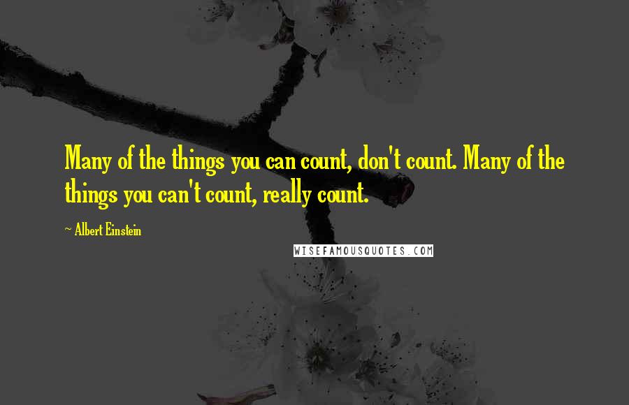 Albert Einstein Quotes: Many of the things you can count, don't count. Many of the things you can't count, really count.