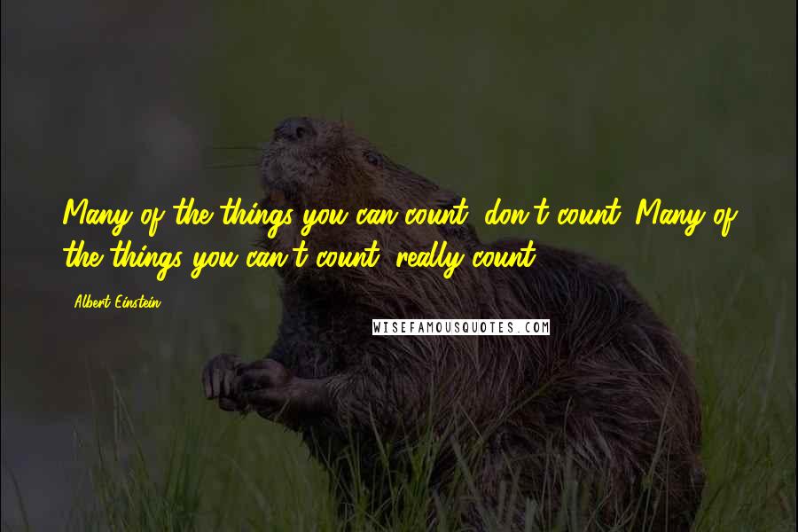 Albert Einstein Quotes: Many of the things you can count, don't count. Many of the things you can't count, really count.