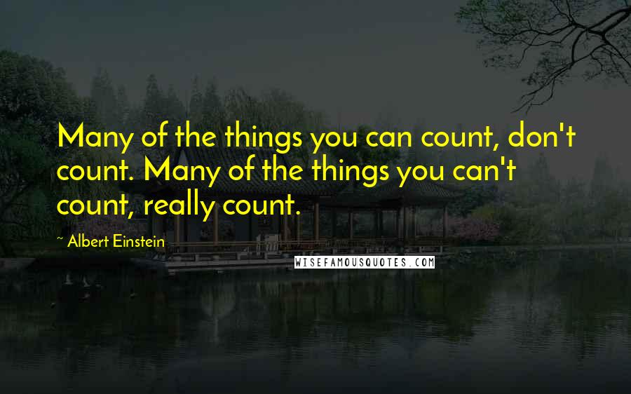 Albert Einstein Quotes: Many of the things you can count, don't count. Many of the things you can't count, really count.