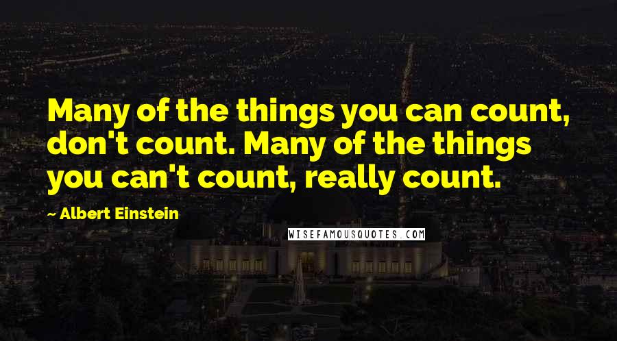 Albert Einstein Quotes: Many of the things you can count, don't count. Many of the things you can't count, really count.