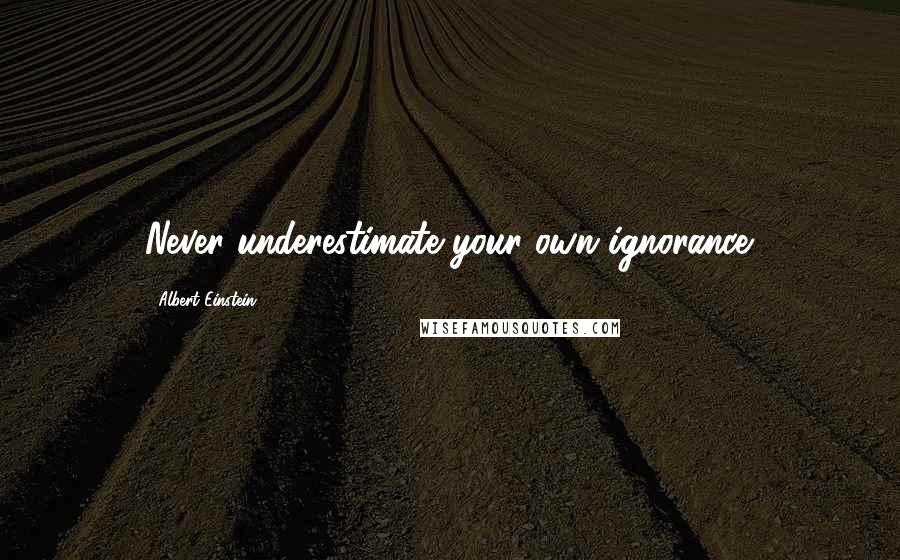 Albert Einstein Quotes: Never underestimate your own ignorance.