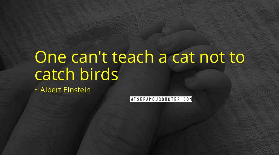 Albert Einstein Quotes: One can't teach a cat not to catch birds