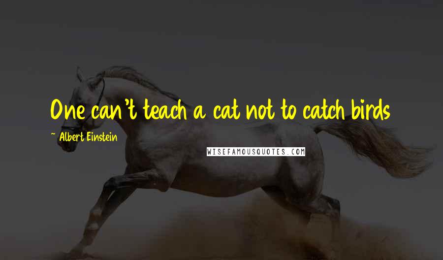 Albert Einstein Quotes: One can't teach a cat not to catch birds