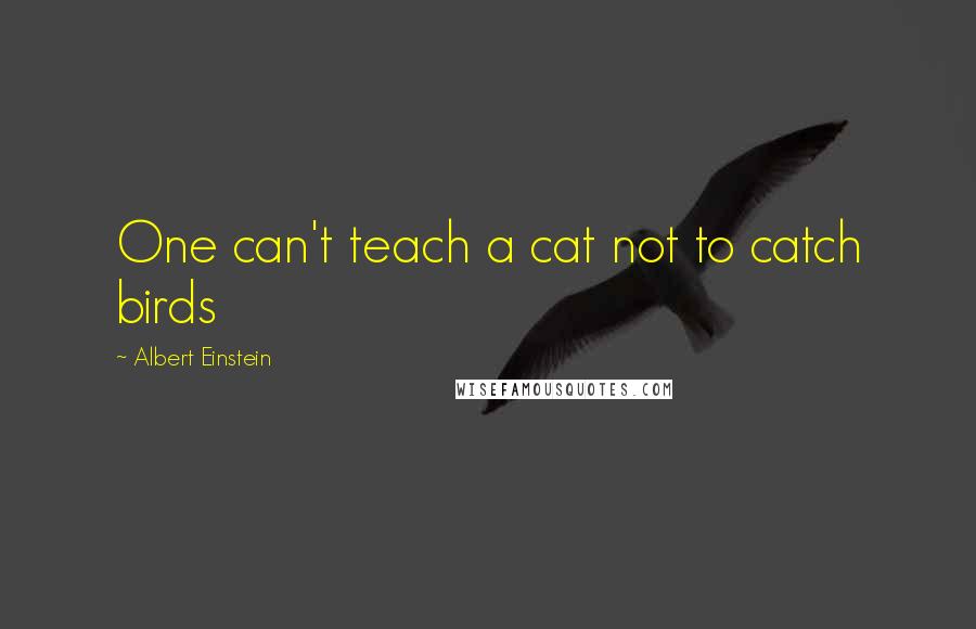 Albert Einstein Quotes: One can't teach a cat not to catch birds