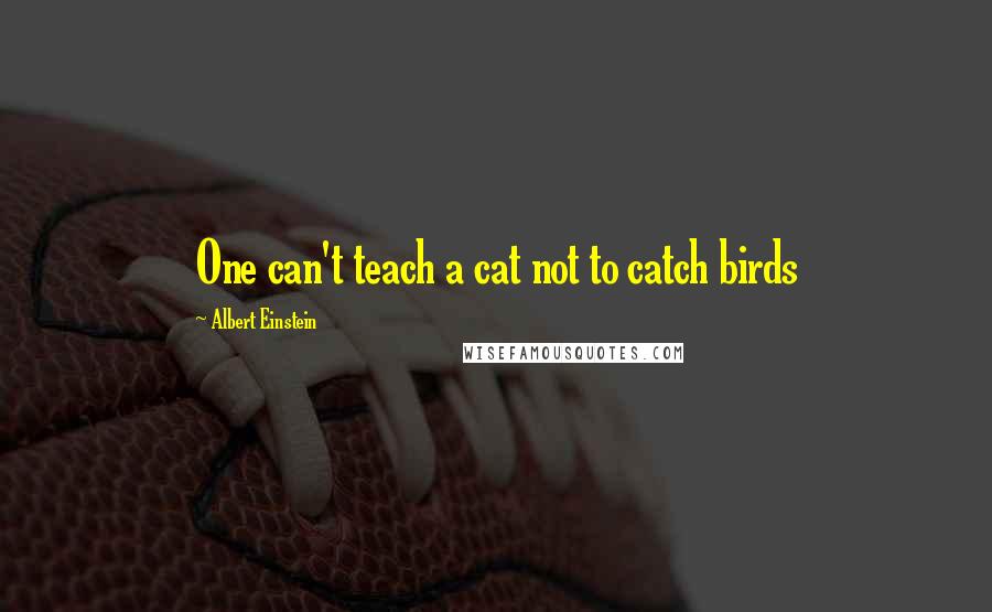 Albert Einstein Quotes: One can't teach a cat not to catch birds