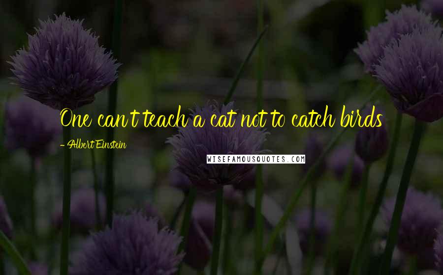 Albert Einstein Quotes: One can't teach a cat not to catch birds