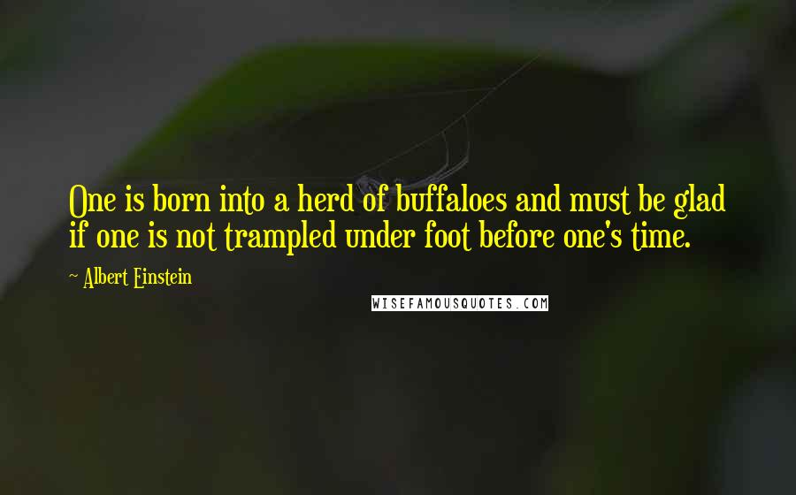 Albert Einstein Quotes: One is born into a herd of buffaloes and must be glad if one is not trampled under foot before one's time.