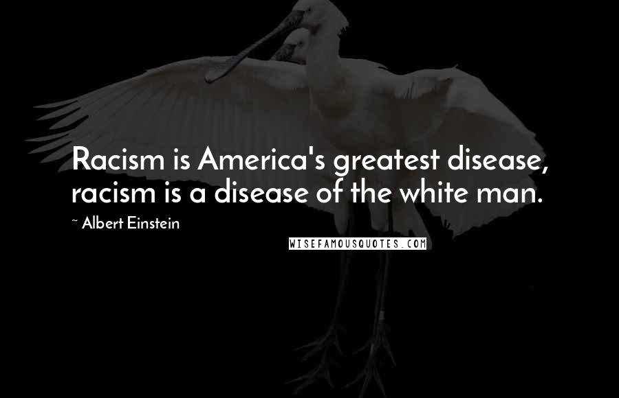 Albert Einstein Quotes: Racism is America's greatest disease, racism is a disease of the white man.