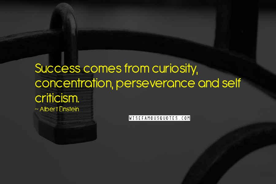 Albert Einstein Quotes: Success comes from curiosity, concentration, perseverance and self criticism.