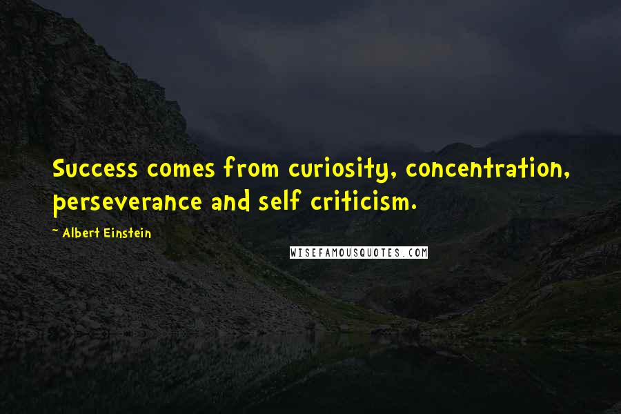 Albert Einstein Quotes: Success comes from curiosity, concentration, perseverance and self criticism.