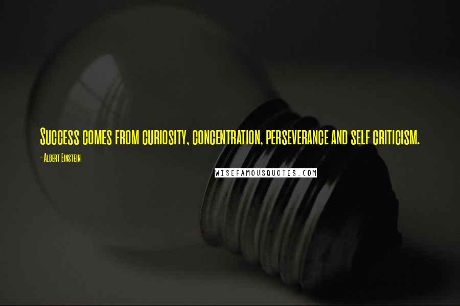 Albert Einstein Quotes: Success comes from curiosity, concentration, perseverance and self criticism.
