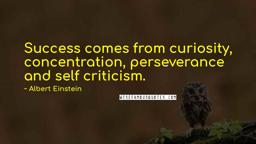 Albert Einstein Quotes: Success comes from curiosity, concentration, perseverance and self criticism.