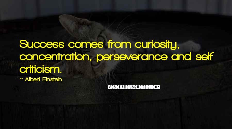Albert Einstein Quotes: Success comes from curiosity, concentration, perseverance and self criticism.