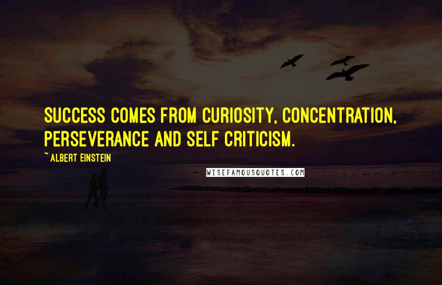 Albert Einstein Quotes: Success comes from curiosity, concentration, perseverance and self criticism.