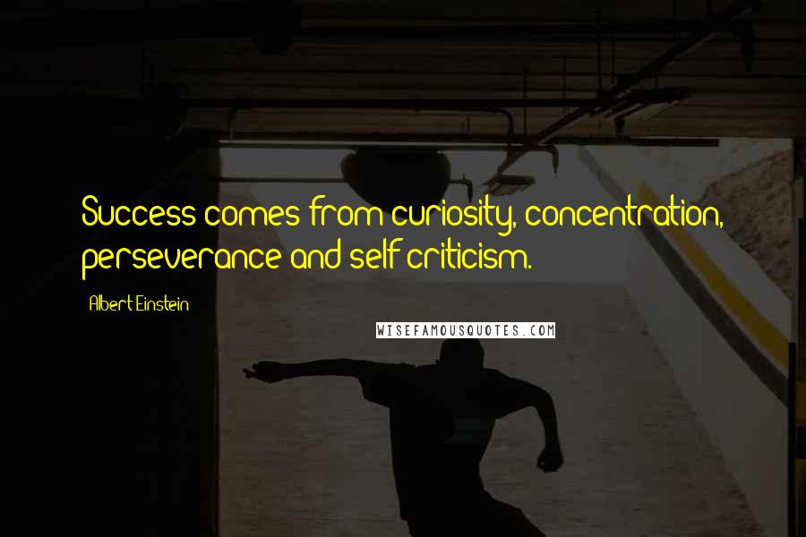 Albert Einstein Quotes: Success comes from curiosity, concentration, perseverance and self criticism.