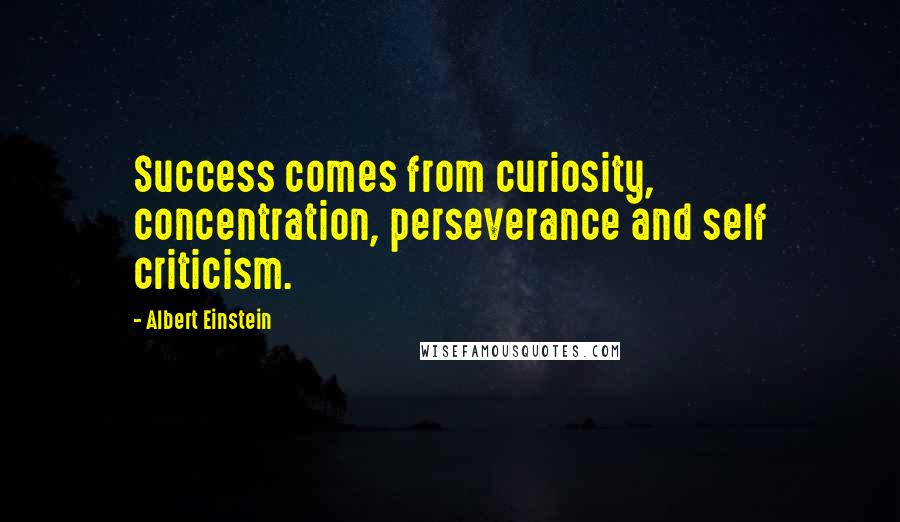 Albert Einstein Quotes: Success comes from curiosity, concentration, perseverance and self criticism.