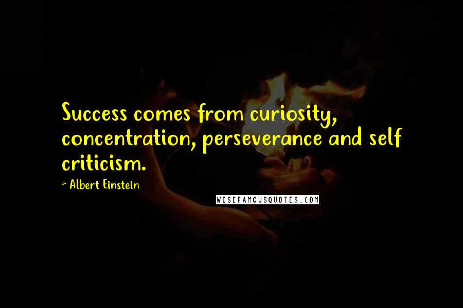 Albert Einstein Quotes: Success comes from curiosity, concentration, perseverance and self criticism.