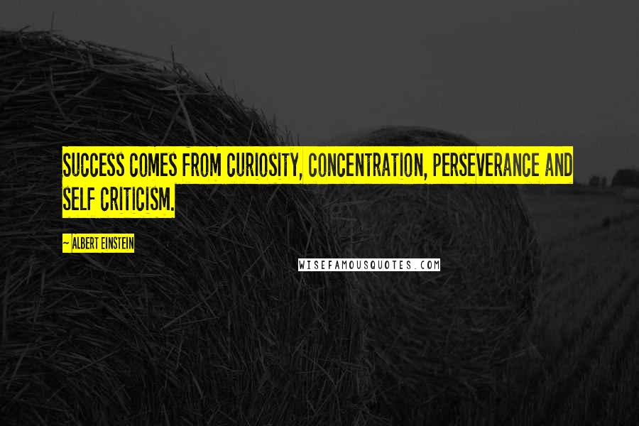 Albert Einstein Quotes: Success comes from curiosity, concentration, perseverance and self criticism.