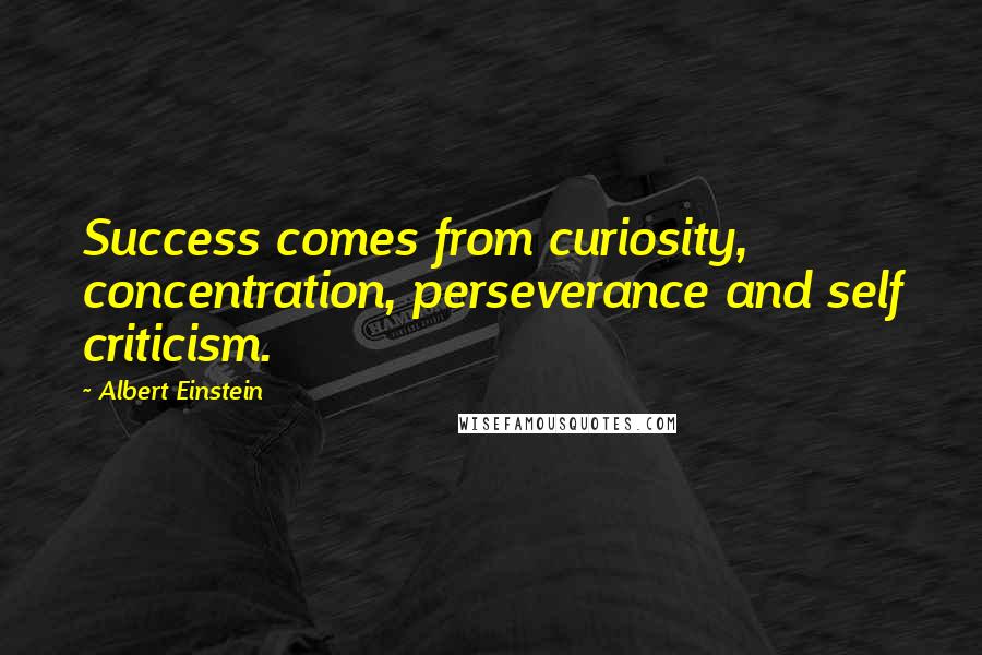 Albert Einstein Quotes: Success comes from curiosity, concentration, perseverance and self criticism.