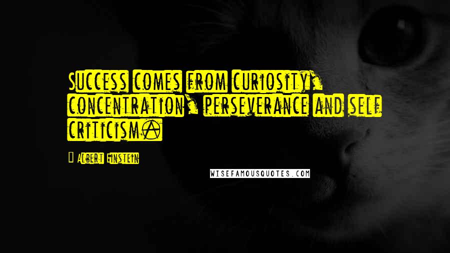 Albert Einstein Quotes: Success comes from curiosity, concentration, perseverance and self criticism.