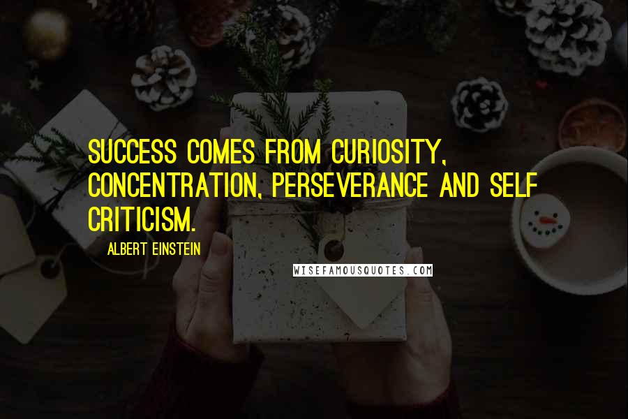Albert Einstein Quotes: Success comes from curiosity, concentration, perseverance and self criticism.