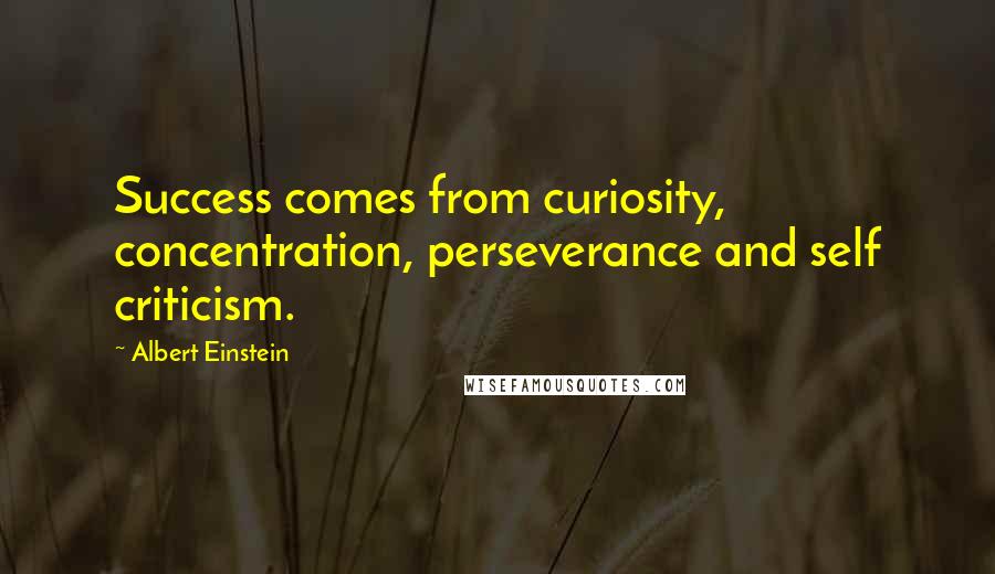 Albert Einstein Quotes: Success comes from curiosity, concentration, perseverance and self criticism.