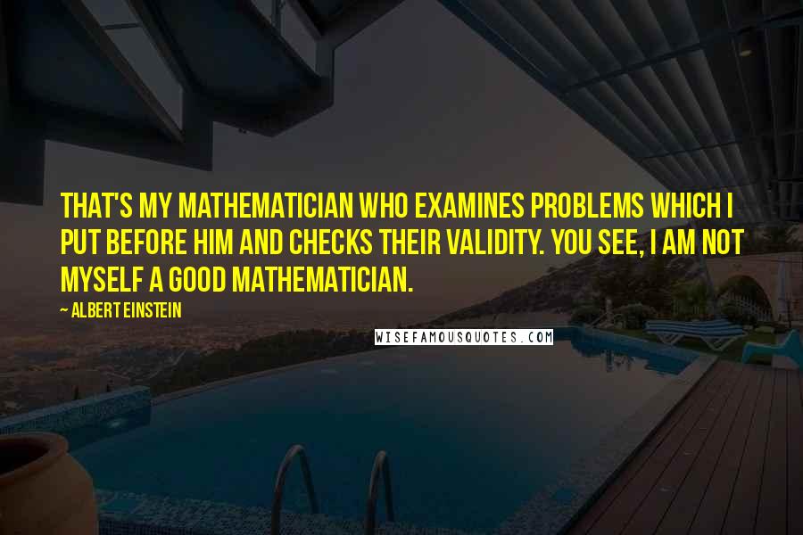 Albert Einstein Quotes: That's my mathematician who examines problems which I put before him and checks their validity. You see, I am not myself a good mathematician.