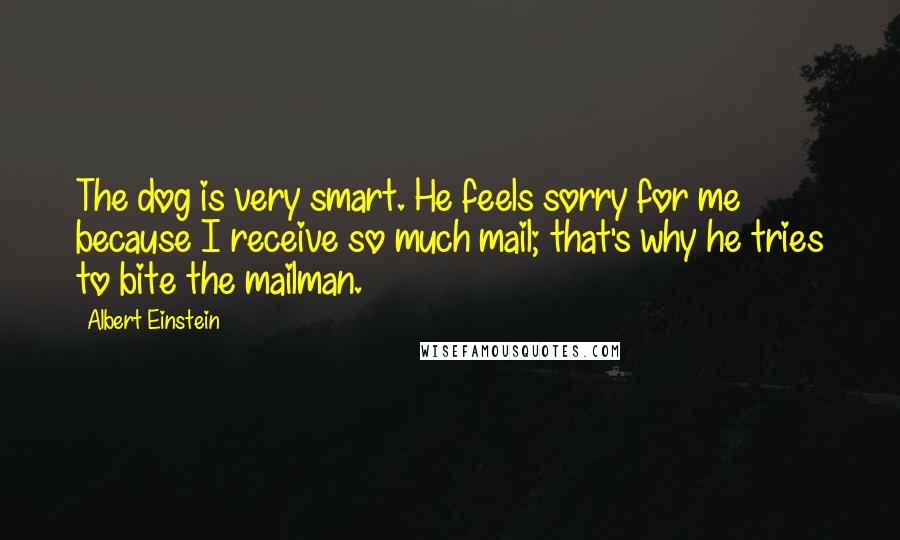 Albert Einstein Quotes: The dog is very smart. He feels sorry for me because I receive so much mail; that's why he tries to bite the mailman.