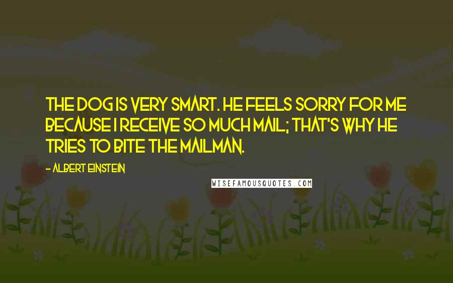 Albert Einstein Quotes: The dog is very smart. He feels sorry for me because I receive so much mail; that's why he tries to bite the mailman.