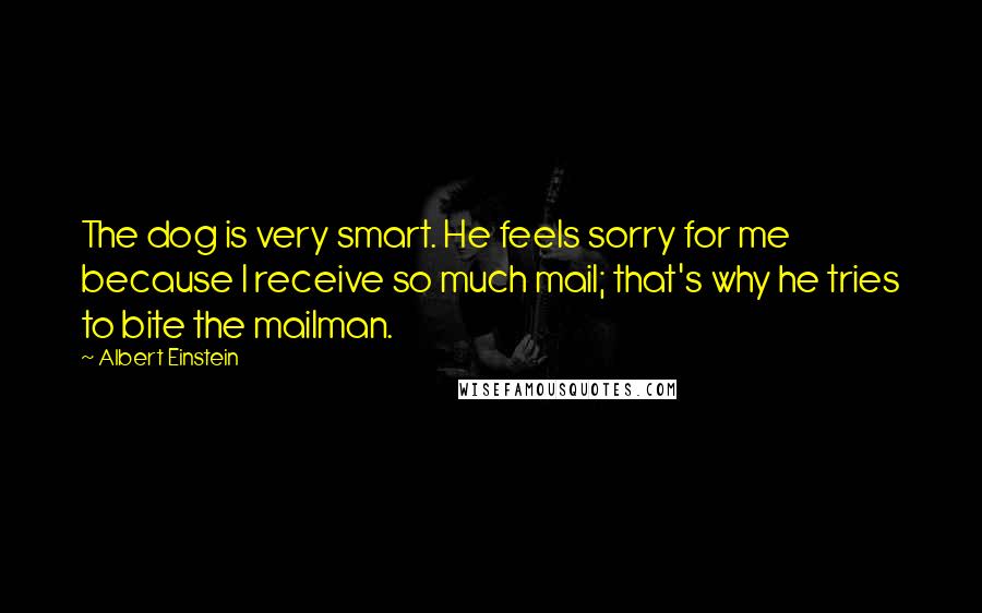 Albert Einstein Quotes: The dog is very smart. He feels sorry for me because I receive so much mail; that's why he tries to bite the mailman.